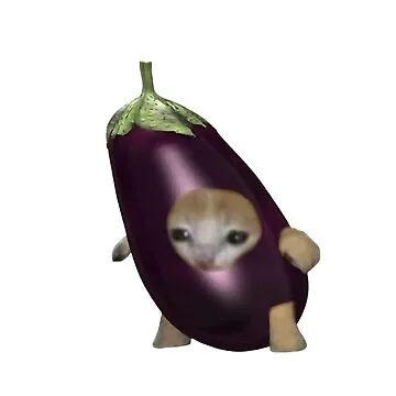 A cat inside an eggplant